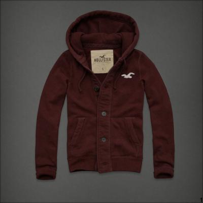 Hollister Men Hoodies-102